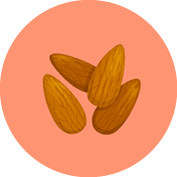 INCI_Bilder_Vorlage10