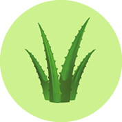 INCI_Bilder_Vorlage2