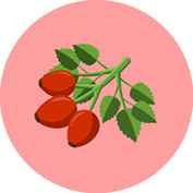 INCI_Bilder_Vorlage7