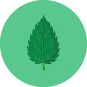 INCI_Bilder_Vorlage8