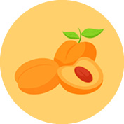 INCI_Bilder_Vorlage9